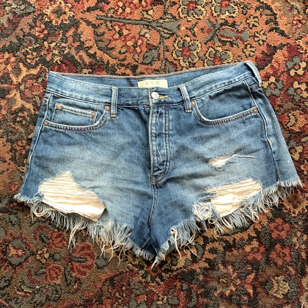 We The Free Distressed Jean Shorts